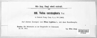 Valsa ceratophora image